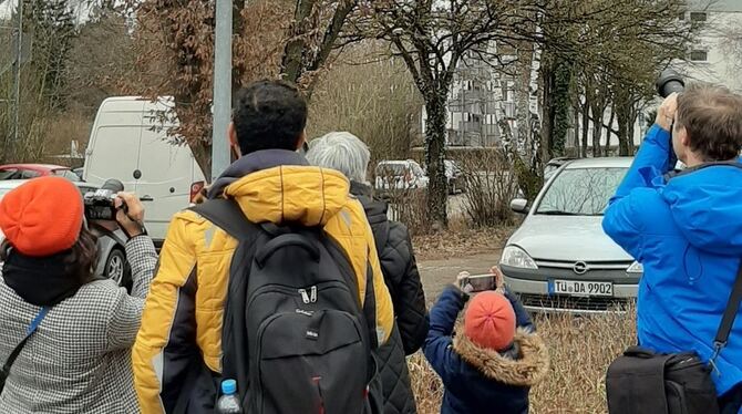 Eulen_Tübingen_Wanne1