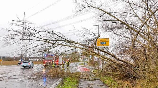 Einsatzkräfte räumen einen Baum von der Straße Einsatzkräfte räumen einen Baum von der Straße