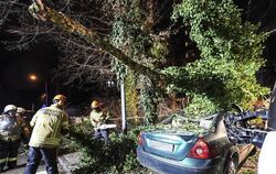 Ein Baum ist auf ein Auto gestürzt