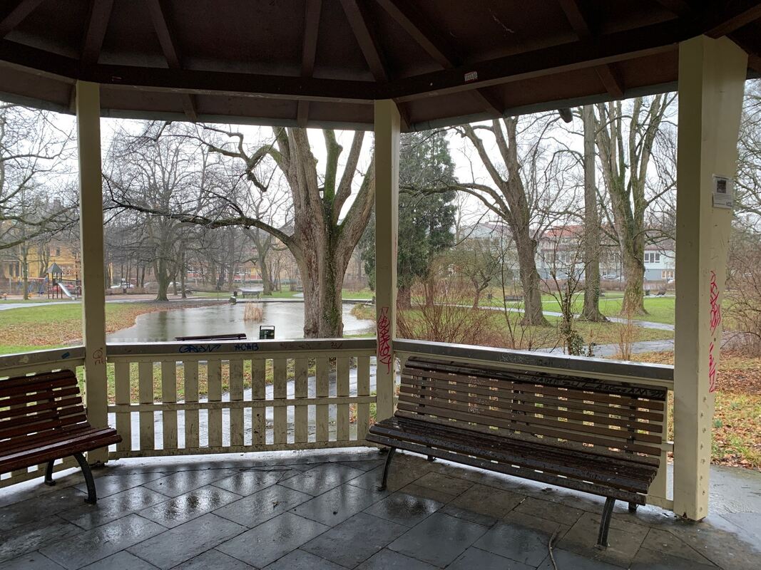 Der Einsatz der Baumkletterer im vergangenen Sommer hat sich gelohnt. Im Stadtgarten ist nichts morsch oder brüchig. Der Einsatz der Baumkletterer im vergangenen Sommer hat sich gelohnt. Im Stadtgarten ist nichts morsch oder brüchig.