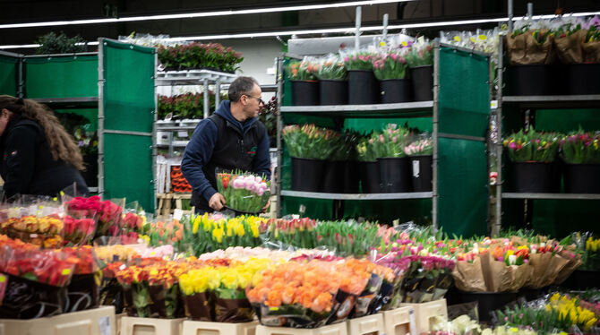 Streit um den Stuttgarter Blumengroßmarkt. Hier die Händlerfläche im Inneren des Markts.  FOTO: LICHTGUT