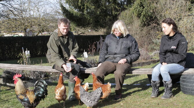 Friedemann und Almuth Schaefer mit Carmen Martinovic (rechts), ihren Hühnern und Hahn Harry.