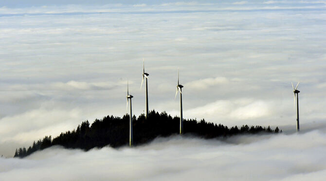Der Wind ist in Deutschland der fleißigste Produzent von erneuerbarer Energie: Windmühlen produzieren derzeit ein Fünftel des S