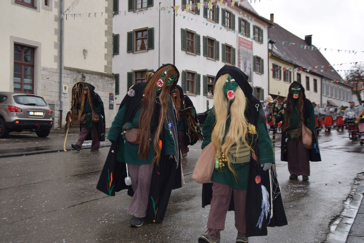 umzug_gammertingen_2020_wurster_21