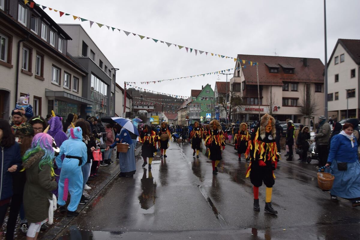 umzug_gammertingen_2020_wurster_24