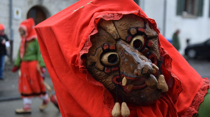 Neugierige Hex’ in Gammertingen. Neugierige Hex’ in Gammertingen.