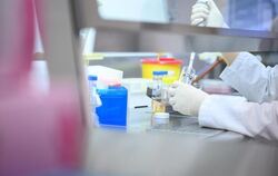 Eine Frau untersucht eine Probe auf das Coronavirus