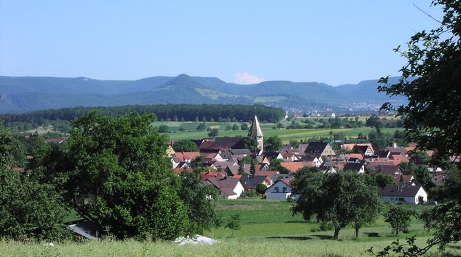 In den vergangenen zehn Jahren ist in diesem Bereich von Walddorf das Wohngebiet Fürhaupt II entstanden. ARCHIVFOTO: MÜLLER