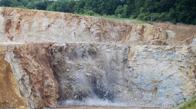 Wo jetzt Wiese und Wald sind, liegen die Erweiterungsflächen des Schotterwerks in Genkingen. Das Gebiet ist 5,3 Hektar groß. Die