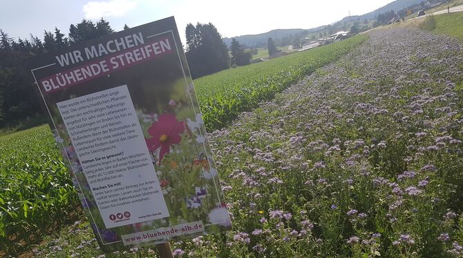 Gutes Beispiel für umweltbewusste Landwirtschaft: das Projekt »Blühende Alb«, hier bei Steingebronn.  FOTO: FISCHER