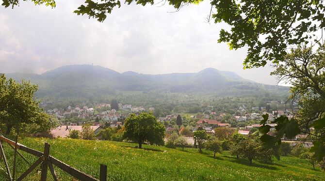 Bei Gönningen gibt es besonders viele Streuobstwiesen. Die Stadt Reutlingen will sich ihrer verstärkt annehmen. ARCHIV-FOTO: TRI