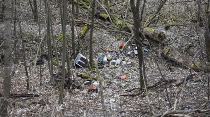 Ein Unbekannter hat an der Gönninger Steige illegal Müll entsorgt.  FOTO: GEUPEL