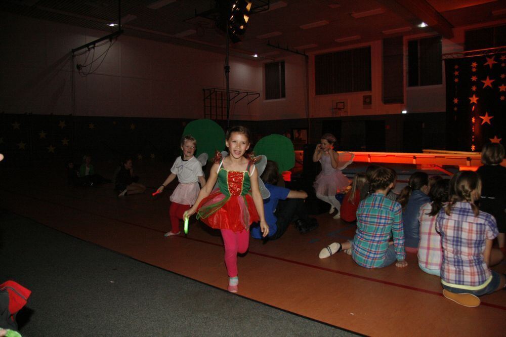 Weihnachtsgala des TSV Eningen 2014