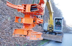 Von der Straße aus beginnt ein Forst-Spezialbagger die Bäume abzuräumen, er knipst sie einfach ab.