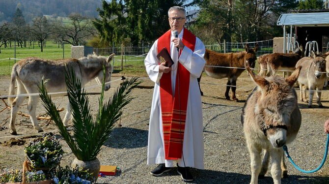 Roland Knäbler, der Pfarrer der katholischen Kirchengemeinde St. Wolfgang, hat Eseln auf dem Schwillehof einen Besuch abgestatte