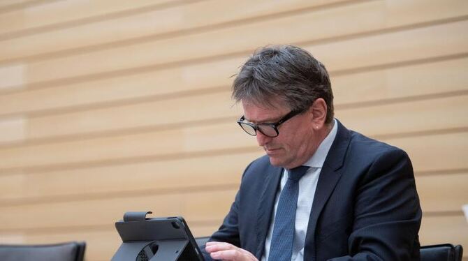 Manne Lucha (Bündnis 90/Die Grünen)