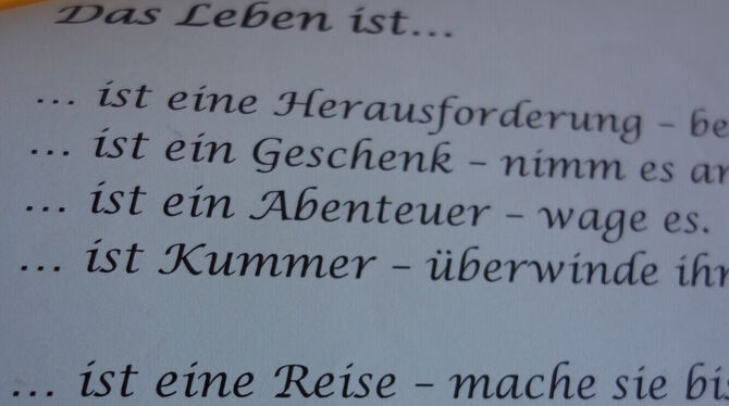 Die Sicht von Mutter Teresa.  FOTO: PFISTERER