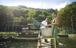 An der Quelle: Die unterhalb von Schloss Lichtenstein entspringende Echaz sorgt für kühles und sauberes Wasser. Ideale Bedingung