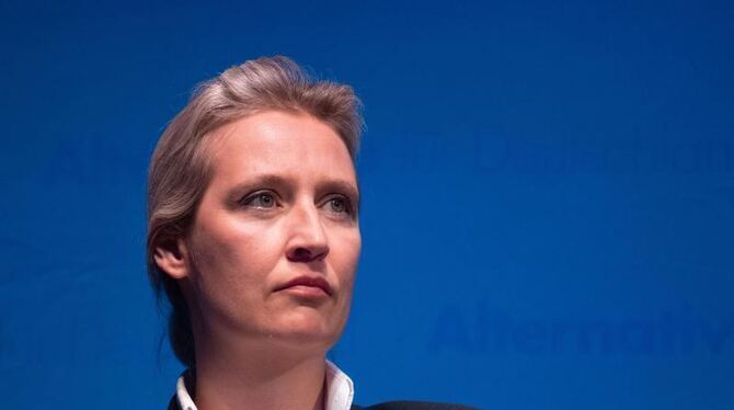 AfD-Fraktionsvorsitzende Weidel