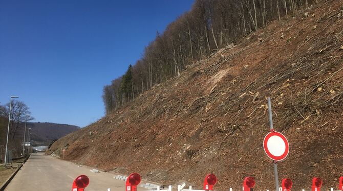 Hier stand bis zum 16. März noch Wald: der geräumte Hang am Hochberg zwischen Bad Urach und Münsingen. Die Forstarbeiter haben r