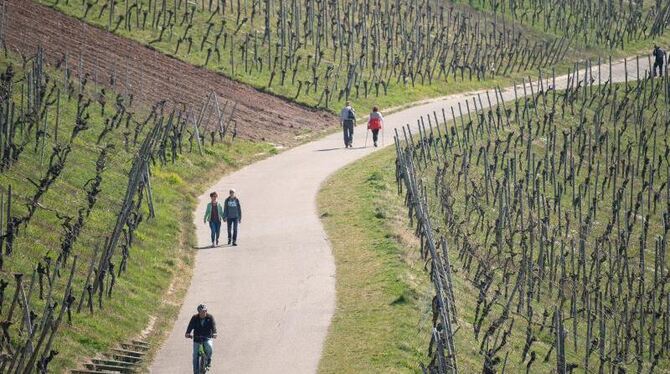 Menschen sind auf dem Weg zu einem Weinberg