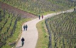 Menschen sind auf dem Weg zu einem Weinberg