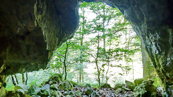 In der Meidelstetter Höhle wurde früher Mondmilch für Heilsalben abgebaut.