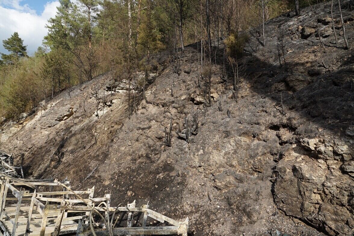 04_20_Lkw_Bergung_06