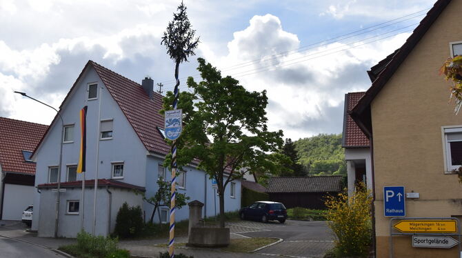 Ein Maienstreich der angenehmen Art: In Talheim ist über Nacht ein Maibaum aufgestellt worden. FOTO: MEYER