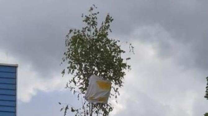 Maibaum mit Mundschutz in Rommelsbach