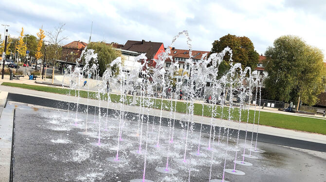Dem Wasserspiel im Bürgerpark und den städtischen Brunnen wird der Hahn trotz Sparzwang nicht abgedreht.  ARCHIVFOTO: PIETH