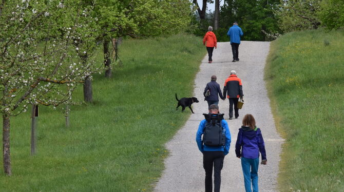 Ausflugswetter in den Nehrener Streuobstwiesen.