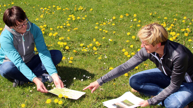 Tanja Heß (links) und Daniela Halder nutzten das tolle Sommerwetter zur Ausarbeitung ihrer Rallye.
