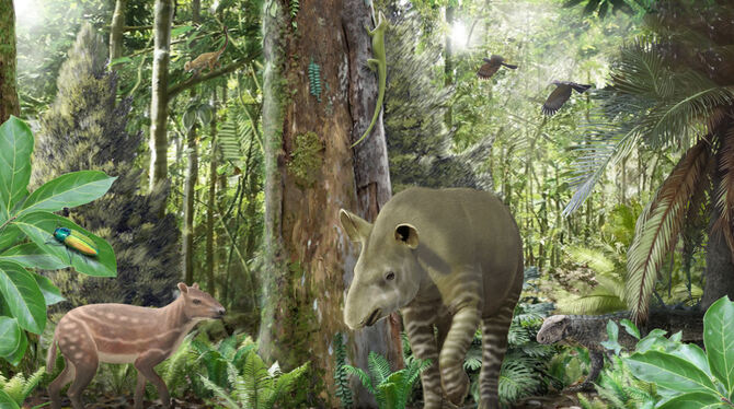 Künstlerische Darstellung des Ökosystems im Geiseltal vor 47 Millionen Jahren mit dem kleinwüchsigen Urpferd Propalaeotherium li