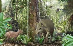Künstlerische Darstellung des Ökosystems im Geiseltal vor 47 Millionen Jahren mit dem kleinwüchsigen Urpferd Propalaeotherium li