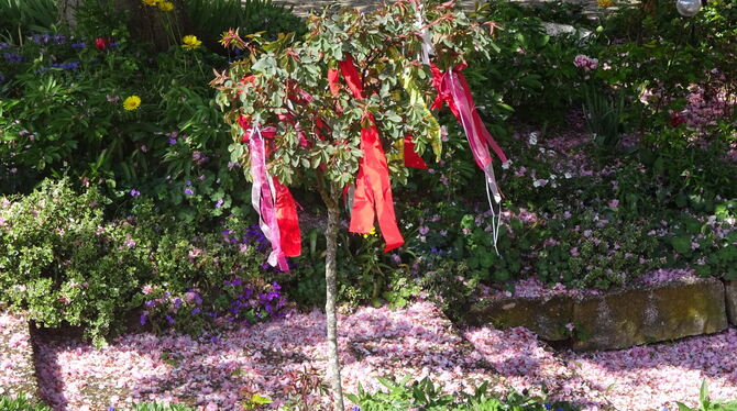 Maibäume selbst gemacht.   FOTO: NOTHACKER