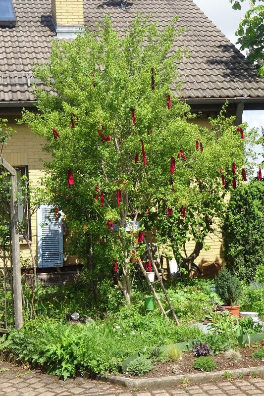 maibaumaktion_bleichstetten_2020_4