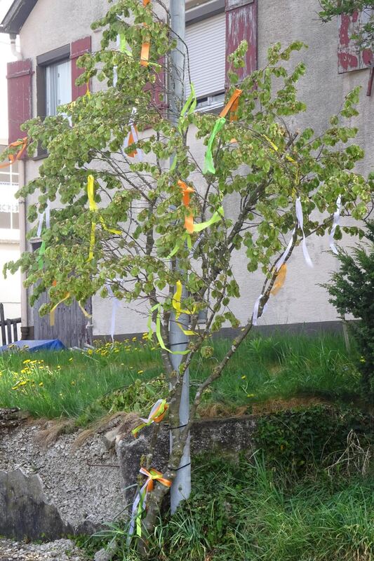 maibaumaktion_bleichstetten_2020_3