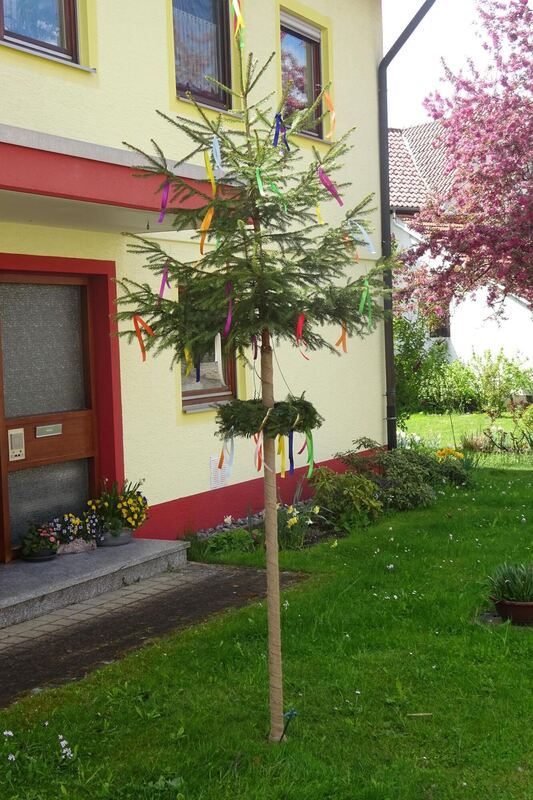 maibaumaktion_bleichstetten_2020_2