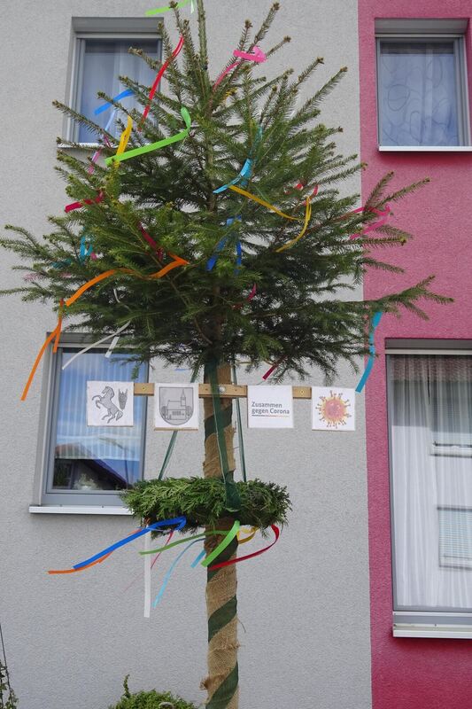 maibaumaktion_bleichstetten_2020_15