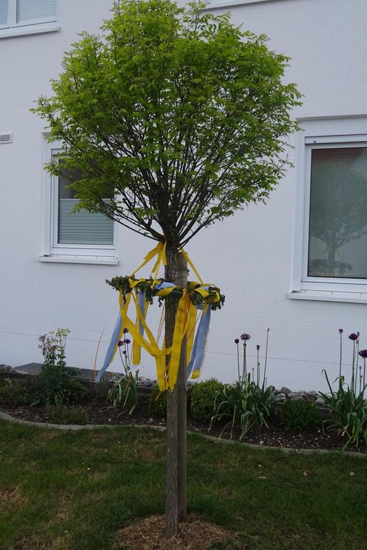 maibaumaktion_bleichstetten_2020_13