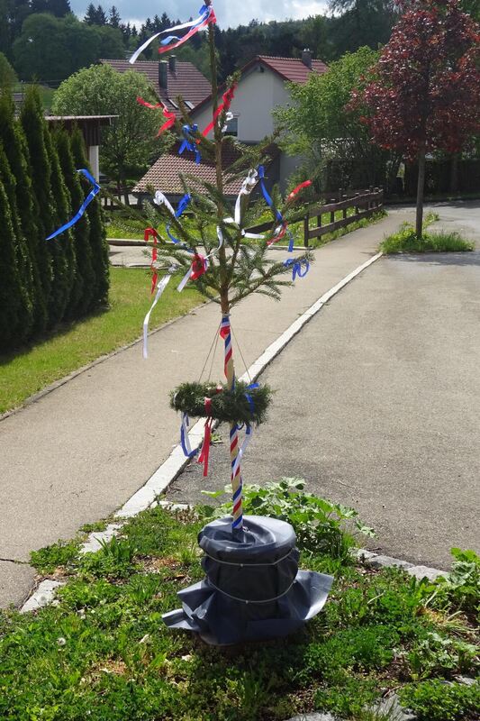 maibaumaktion_bleichstetten_2020_9