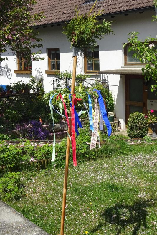 maibaumaktion_bleichstetten_2020_5