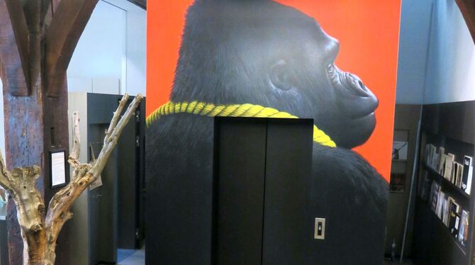 Einsteigen durch den Gorilla-Rücken: Von Eckart Hahn gestalteter Aufzug im Spendhaus.   FOTO: KNAUER