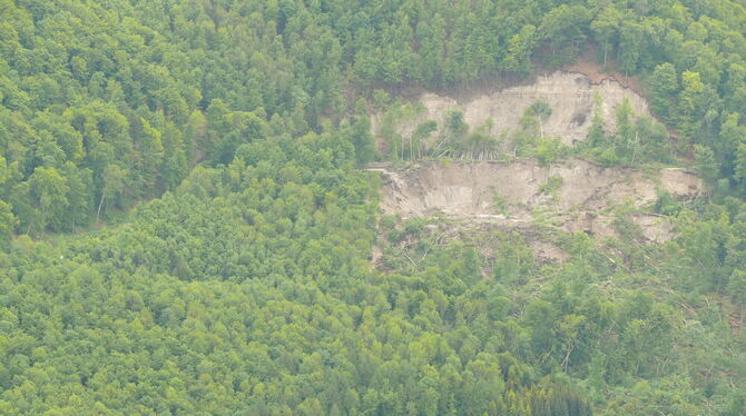 Beim Bergrutsch in Talheim im Jahr 2013 sind Wege und Bachläufe verschüttet worden. ARCHIVFOTO: WENER