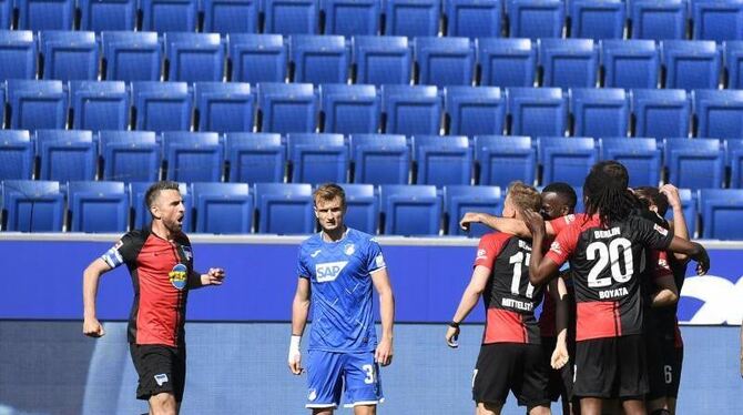 Vedad Ibisevic (l) und Kameraden feiern über ein Tor