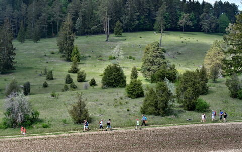 Vatertagwanderung durch die Wacholderheide bei Hayingen FOTO MEYER