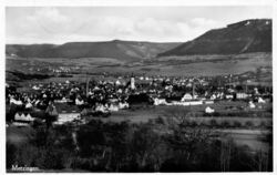 Metzinger Stadtansicht von Westen: Postkarte aus dem Jahr 1930. FOTO: STADT  