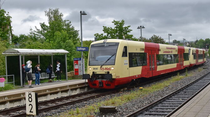 Zwischenhalt am Bahnhof Dußlingen: Wenn das Ticket nach Tübingen günstiger wäre, würden mehr Fahrgäste mitfahren. Die Betreiber