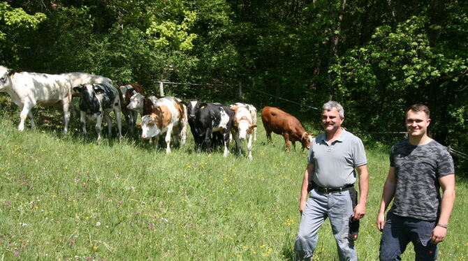 Die Landwirte Ernst und Daniel Burgmaier lassen mit Jungrindern Hanglagen beweiden und sorgen für die Offenhaltung der Flächen.